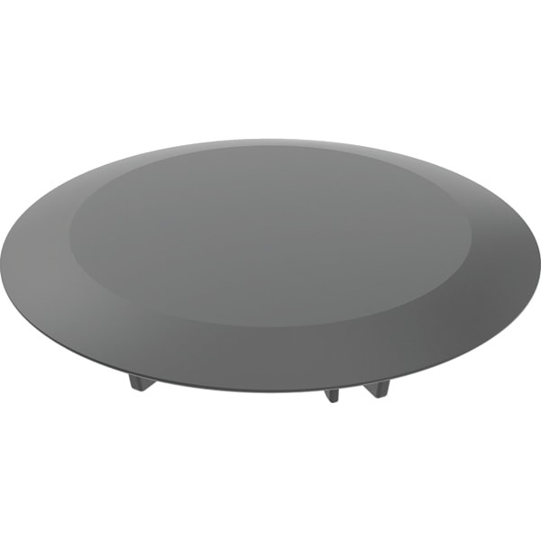 Geberit Ablaufdeckel d52 für DW-Ablauf 150280141 Image