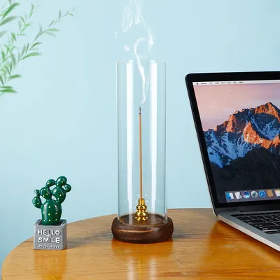 Modern Incense Holder Anti-Ash Flying Incense Burner with Removable Acrylic Ash Catcher for Home