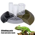 Alimentatore per rettili Ciotola per acqua Lucertola Tartaruga Alimentatore automatico per partizione Alimentatore angolare con bottiglia d'acqua per Tartaruga per animali domestici Geco Lucertola