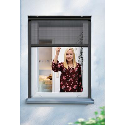 Insektenschutz-Rollo SCHELLENBERG "für Fenster, Fiberglas Fliegengitter mit Aluminium Rahmen", grau (anthrazit), B:160cm H:160cm, Fiberglas, Rollos, in verschiedenen Farben und Größen erhältlich Image