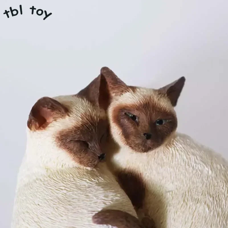 1/6 Maßstab Birman Katze Paar Schlaf position Katze Modell für 12 Zoll Dekoration Harz Soldat Hobby Image