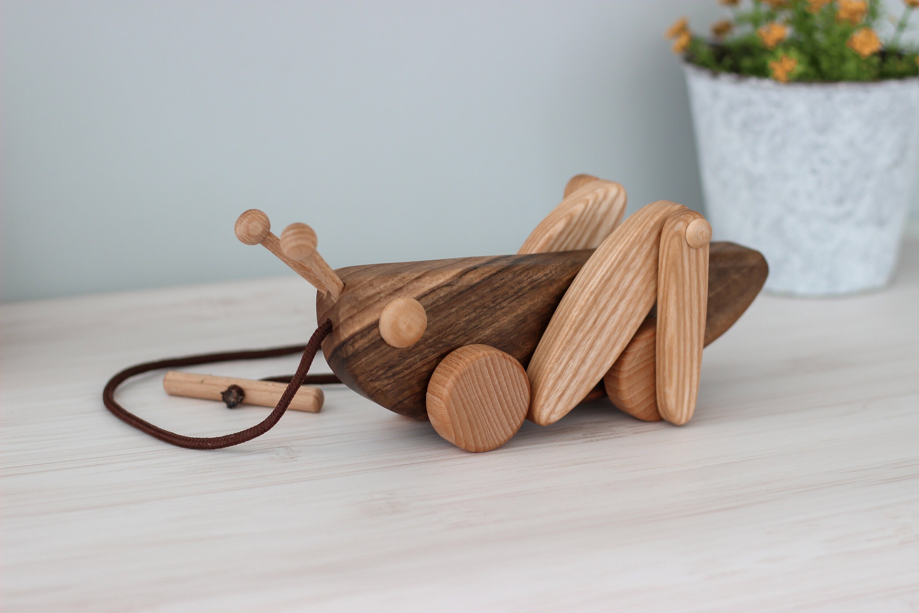Giocattolo in legno fatto a mano da tirare e spingere per bambine e bambini, regalo Animali su ruote, giocattoli educativi Montessori per bambini, gio