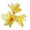 40pcs Artificial Frangipani Flower 3 Heads/Piece Silk Plumeria Rubra Flower Heads for Wedding Party