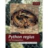 Python Regius. Der Königspython - Thomas Kölpin