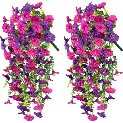 Flowers+Plants