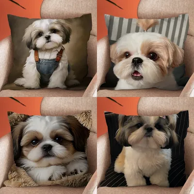 Schöner Shih Tzu-Kissenbezug, weiche Kissenbezüge für Bauernhaus, Sofa, Dekoration, Heimdekoration Image