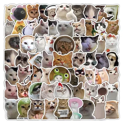10/30/50/100 Stück Tierkatzen MEME Aufkleber Lustige Cartoon Aufkleber für Skateboard Gitarre Image