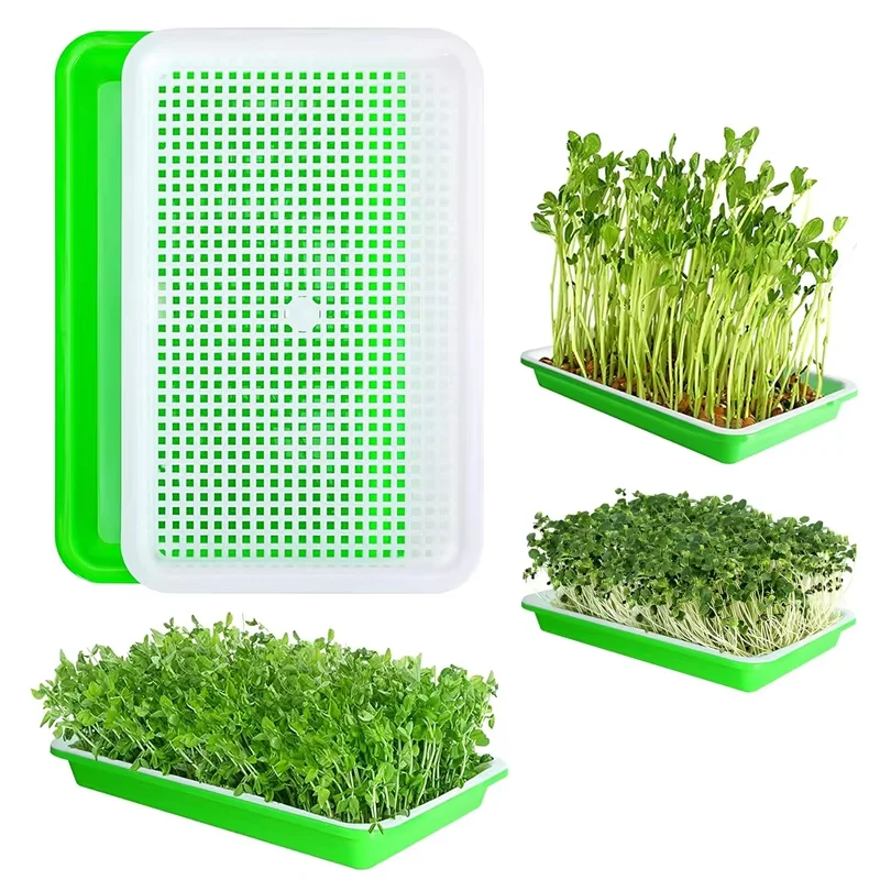 Sämlingsschalen zum Sprießen von Sojasprossen, Hydrokultur-Keimtöpfen und Heimanbau von bodenlosem Gemüse Image