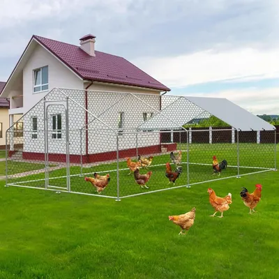 Large Metal Chicken Coop, Wire Mesh Chicken Run, Chicken Pen with Water-Resident and Anti-UV Cover