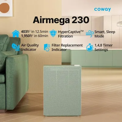Airmega 230 True HEPA with Air Quality Monitoring, Auto, and Indicator, Sage Green