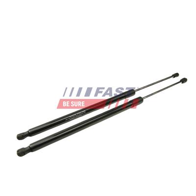 FAST Gasfeder, Koffer-/Laderaum 830N für FORD USA 1824673 DT11V406A10AF DT11V406A10AE FT94807K Image