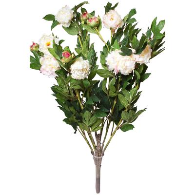 Kunstblume BOTANIC-HAUS "Pfingstrosenbusch", beige (creme, pink), B:75cm H:115cm T:75cm Ø:75cm, Kunststoff, Kunstpflanzen Image