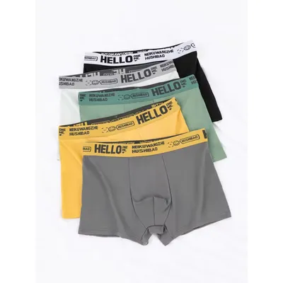 5 teile/satz Männer Unterwäsche Jugendliche Für Erwachsene BoyBoxers Sexy Unterhosen Atmungsaktivem Mode Jungen Höschen Boxershorts Männer Image