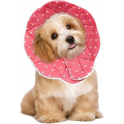 Comfy Cone - Bequemes postoperatives Halsband für Katzen und Hunde, robust, wasserdicht, kratz- und Image