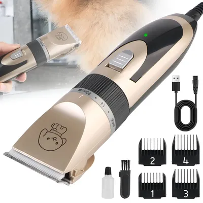 Cat+Supplies