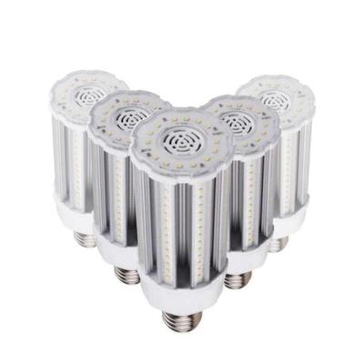 Venture 20816CS - 100 W 4K QTY-24 Omni Directional Flood HID Replacement LED Light Bulb