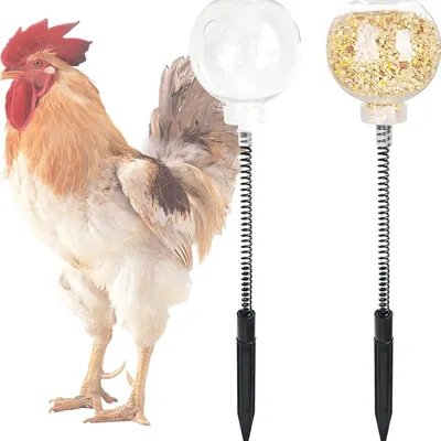 2pcs Swing Chicken Feeder Chicken Coop Pecking Toy for Boredom Busting Funny Hens Feeding Supplies