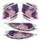 4 PZ/SET Anime Bellezza Occhi Gazing Adesivi Riflettenti Per Auto Decor Moto Auto Moto Decalcomanie