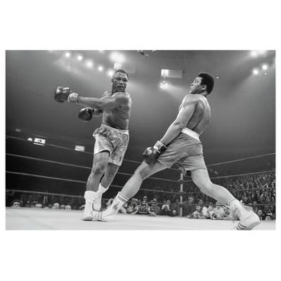 TEMU 1pc Frameless Classic Boxing Canvas Wall Art - Vintage Monochrome Sports Decor For Bedroom, Living Room, Hallway - 12x18 Inch Retro Poster, Wall Decor, Winter Decor Image
