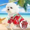 Pet Supplies Spring Summer Thin Style Shirt Small And Medium Sized Dog Lemon Watermelon Fruit