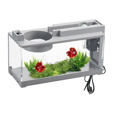 Desk Aquarium Glass Aquarium Modern Silent Desktop Fish Tank With Air Pump For Seaweed Small Corals Betta Fish Shrimp Goldfish