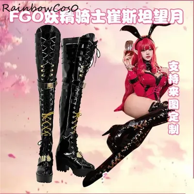 Fee Ritter Lancelot Tristan Schicksal/Großauftrag fgo Cosplay Schuhe Stiefel Spiel Anime Party Image