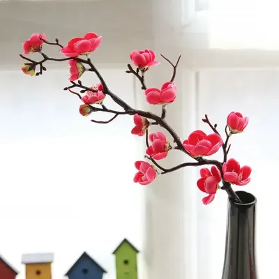 Flowers+Plants