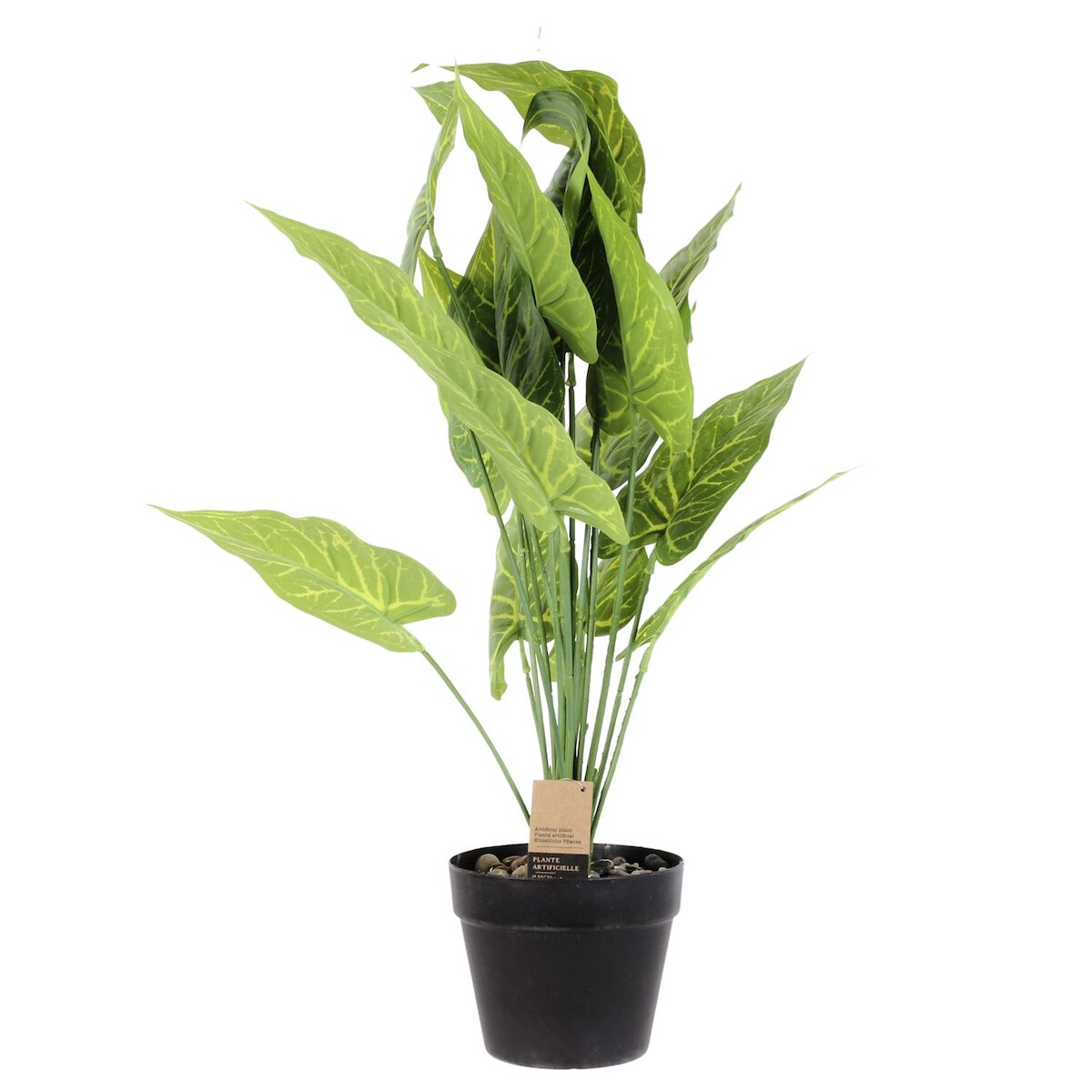 NATURN LIVING Dieffenbachie aus Kunststoff – ø 15 x 55 cm – Tropische Zimmerpflanze – Grün Image