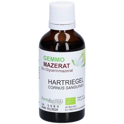Gemmo Mazerat BIO Hartriegel 50 ml Flüssigkeit zum Einnehmen Image
