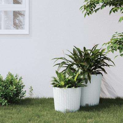 TEMU Planter With Removable Insert White .3l Pp-rattan Image