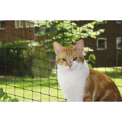Katzenschutznetz schwarz Größe s 2 x 3 m Balkon-/Fensternetz - Nobby Image