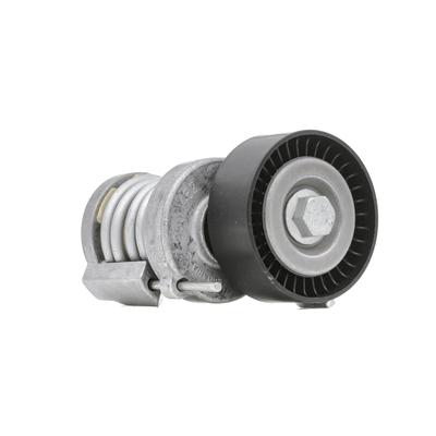 INA Spannarm, Keilrippenriemen VW,AUDI,SKODA 534 0123 20 030145299C,030145299F Image