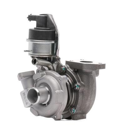 RIDEX Turbolader OPEL,FIAT,CHEVROLET 2234C0269 860550,54359700027,54359880027 Abgasturbolader,Lader, Aufladung 54359980027,55216672,71794959,860164 Image