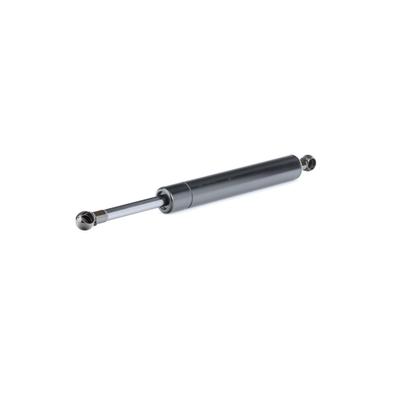 RIDEX Heckklappendämpfer MERCEDES-BENZ 219G0806 2517400045,A2517400045 Image