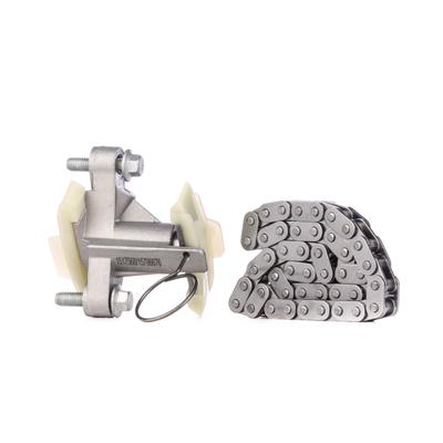RIDEX Steuerkettensatz PEUGEOT,CITROËN,LAND ROVER 1389T2450 084927,C2S30215,1316113 0816G9,0816G9084927 Image