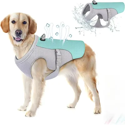New Ice Cooling Dog Vest Summer Mesh Clothes for Small Medium Large Dogs Outdoor Pet Cool Down Jackets Breathable Dog Harness