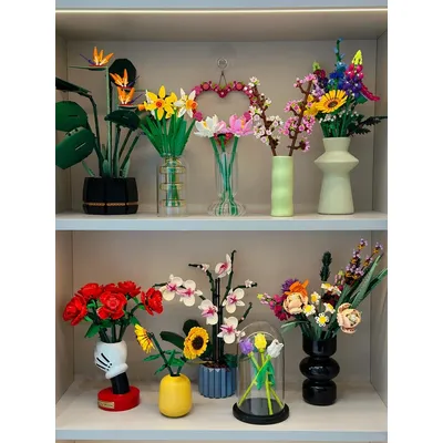 Flowers+Plants