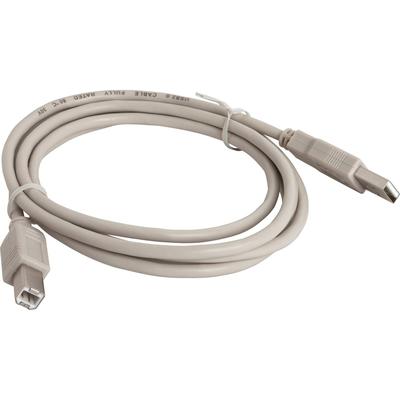 Compucessory 11150 Gray 6' A-B USB Cable w/Gold Plated Contacts (CCS11150)