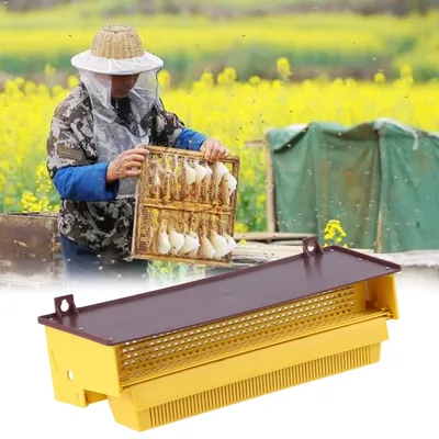 Beekeeping Tool Pollen Trap Pollen Collector Removable Yellow Plastic Pollen Trap With Ventilated