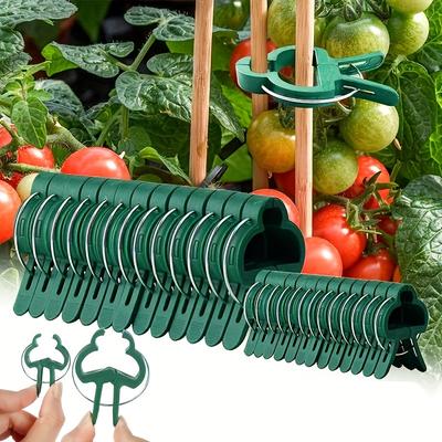 TEMU 50pcs/150pcs Grafting Clips, Greenhouse Clamp, Stand Plastic Plant Clip, Fastener Bracket, Plant Grafting, Plant Support Structure Image