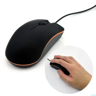 Computer+Gaming+Software