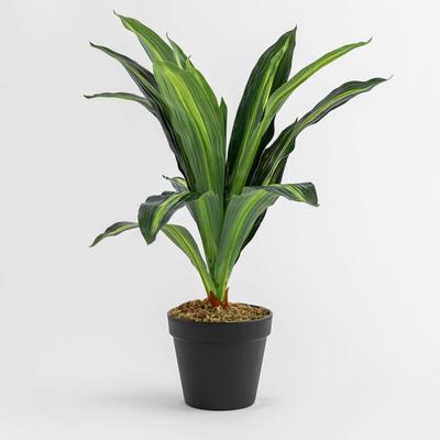 Dekorative Kunstpflanze Dracaena 40 cm 40 cm - Sklum Image