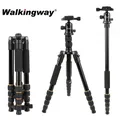 Q666 Treppiede per fotocamera Treppiede professionale Supporto per telefono Monopiede per fotocamera da viaggio protettiva per smartphone DSLR Video Trasmissione in diretta