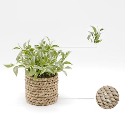 TEMU 1pc Potted - / Decor For Parties, & - For , , And Image