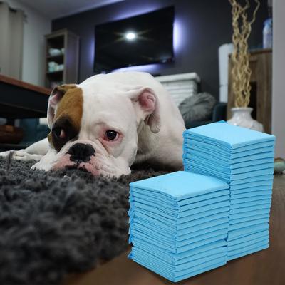 TEMU 40/80/120 Pack 60*60cm Puppy Pee Pads Training Pads Disposable Dog Pee Pads, Pet Diapers For Easy Quick-dry Potty Pads For Puppies | Dogs | Doggie| Cats | Rabbits Uppy Pee Pads Image