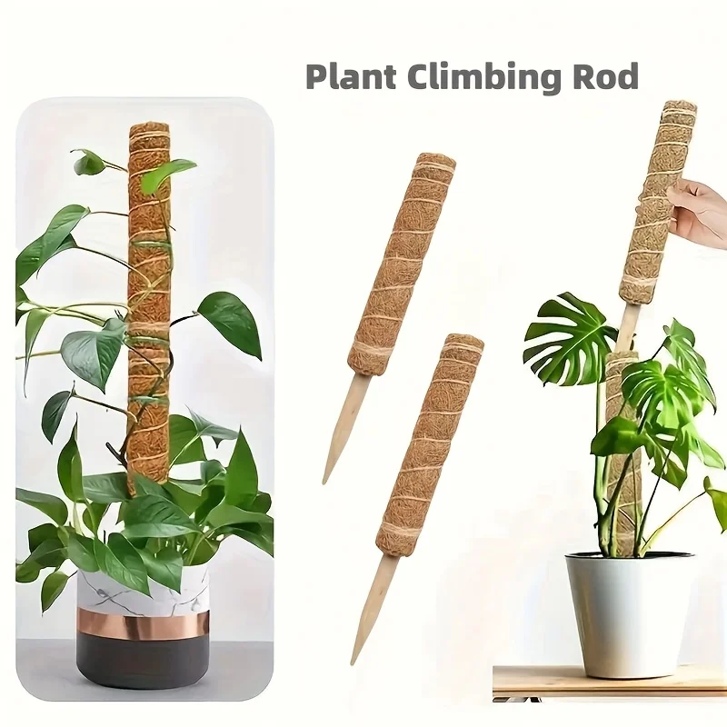Monstera Pflanzenstütze für Kletterpflanzen im Innenbereich, stapelbare Stöcke, Pflanzenstützpfähle, Stöcke für Topfpflanzen Image