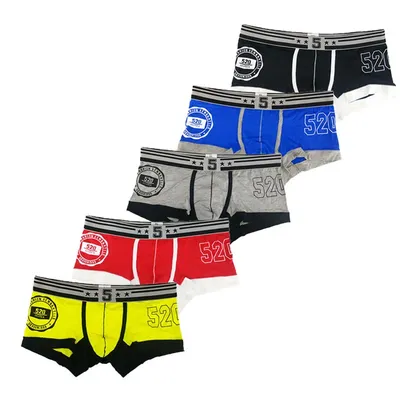 5PCS Lot Männer Unterwäsche Boxer Baumwolle Weiche Niedriger Taille Unterhose Atmungs Gedruckt Cueca Image