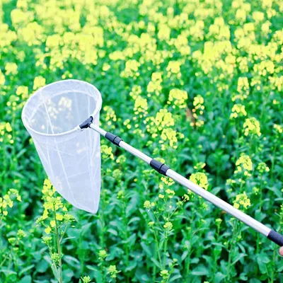 For Flying Animals Capture Net Telescopic Butterfly Net Extendable Fishing Mesh Net Outdoor Garden