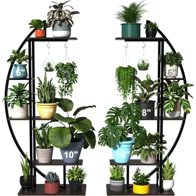 Flowers+Plants