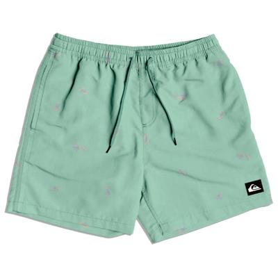 Quiksilver - Surfsilk Straight Volley 16 - Boardshorts Gr S türkis/grün Image